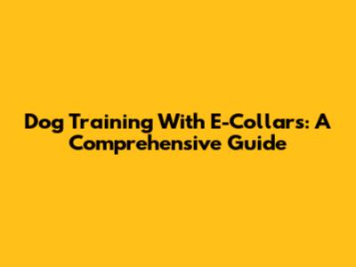 Dog Training With E-Collars: A Comprehensive Guide