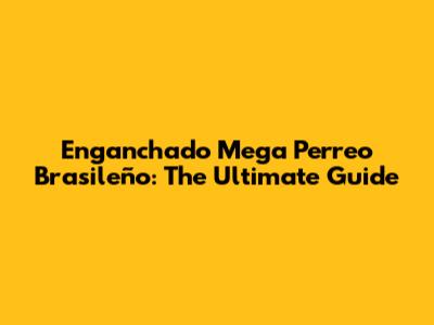 Enganchado Mega Perreo Brasileño: The Ultimate Guide