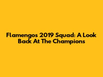 Flamengo's 2019 Squad: A Look Back At The Champions