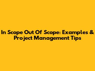 In Scope Out Of Scope: Examples & Project Management Tips