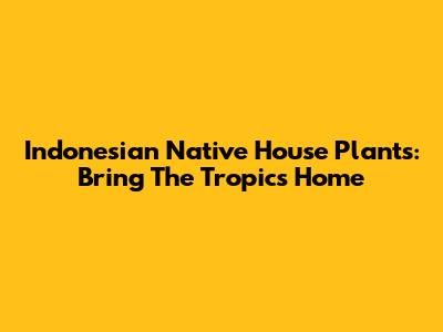 Indonesian Native House Plants: Bring The Tropics Home