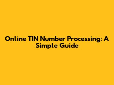 Online TIN Number Processing: A Simple Guide