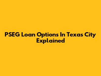PSEG Loan Options In Texas City Explained