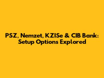 PSZ, Nemzet, KZISe & CIB Bank: Setup Options Explored