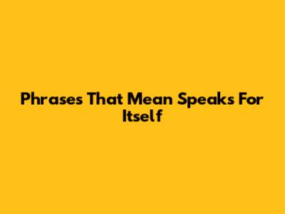 Phrases That Mean 'Speaks For Itself'