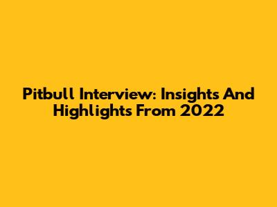 Pitbull Interview: Insights And Highlights From 2022