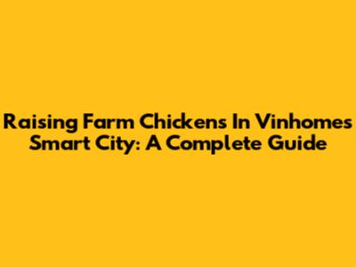 Raising Farm Chickens In Vinhomes Smart City: A Complete Guide