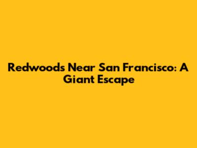 Redwoods Near San Francisco: A Giant Escape