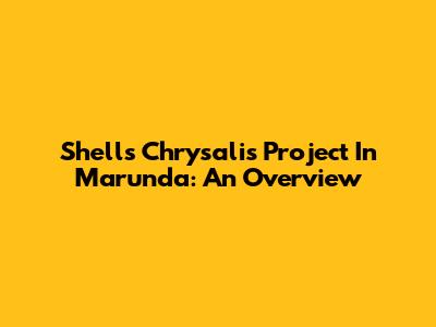 Shell's Chrysalis Project In Marunda: An Overview