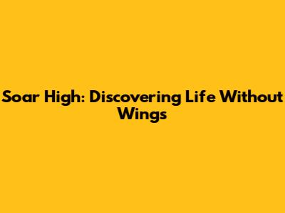 Soar High: Discovering Life Without Wings