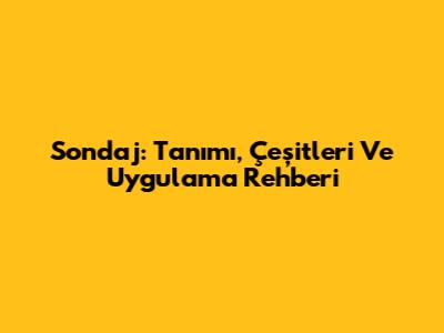 Sondaj: Tanımı, Çeşitleri Ve Uygulama Rehberi
