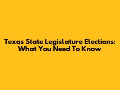 Texas State Legislature Elections: What You Need To Know