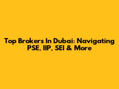 Top Brokers In Dubai: Navigating PSE, IIP, SEI & More
