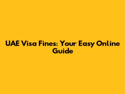 UAE Visa Fines: Your Easy Online Guide