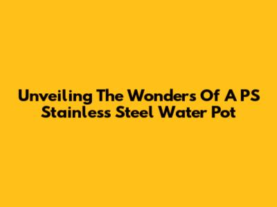 Unveiling The Wonders Of A PS Stainless Steel Water Pot